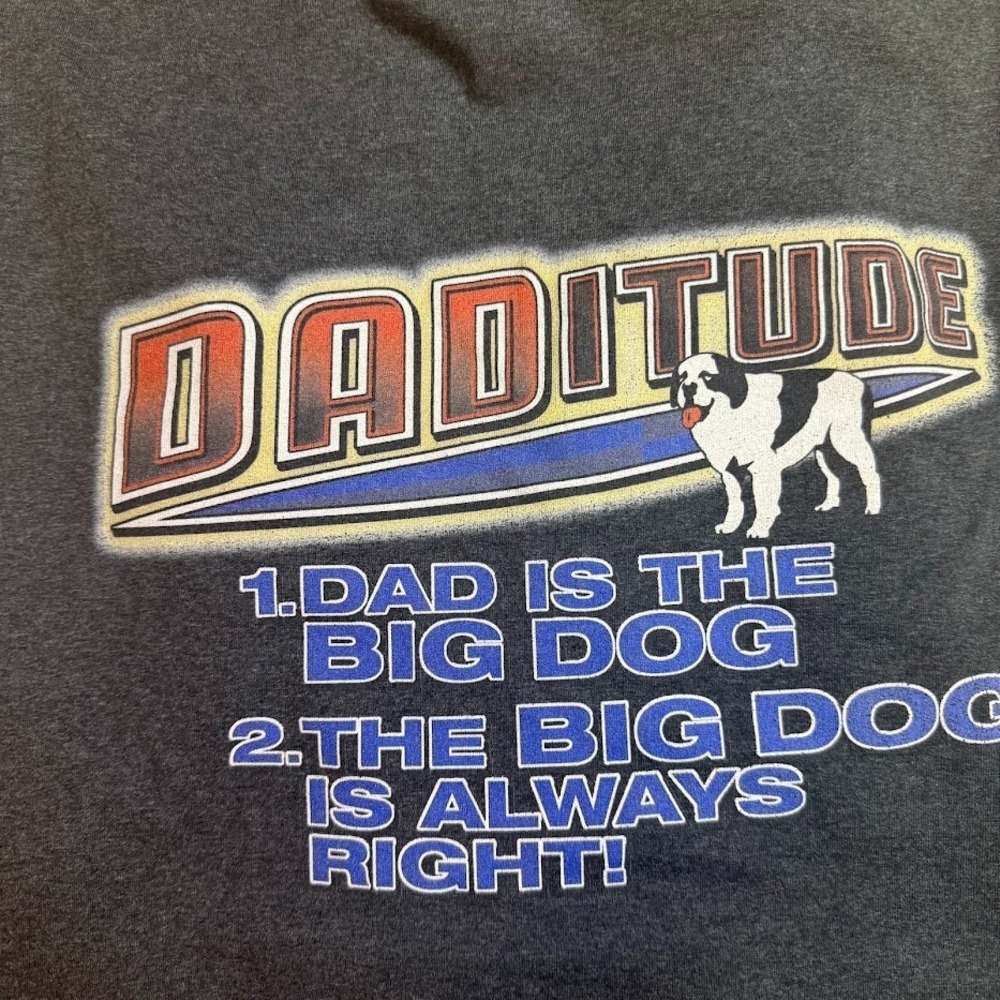 Big Dogs Shirt Mens 4XL Black Funny Graphic Hanes Cotton Adult Humor Daditude